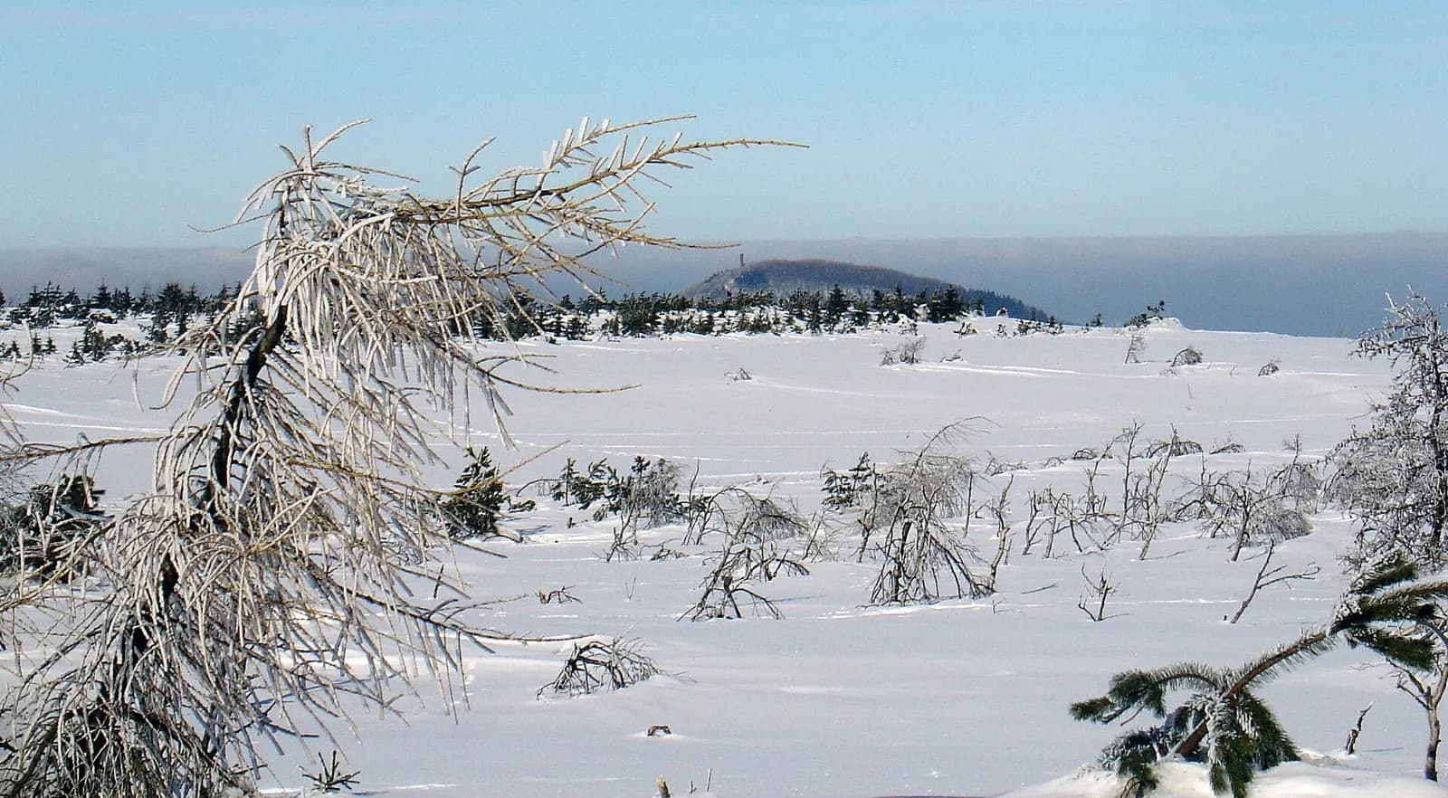 Verschneite Kammhochfläche bei Cínovec mit Blick zum Geisingberg
